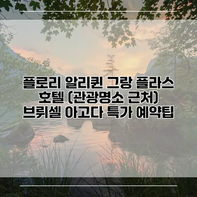 플로리 알리퀸 그랑 플라스 호텔 (관광명소 근처) 브뤼셀 아고다 특가 예약팁