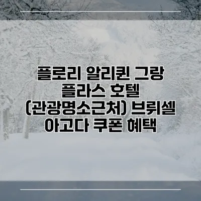 플로리 알리퀸 그랑 플라스 호텔 (관광명소근처) 브뤼셀 아고다 쿠폰 혜택