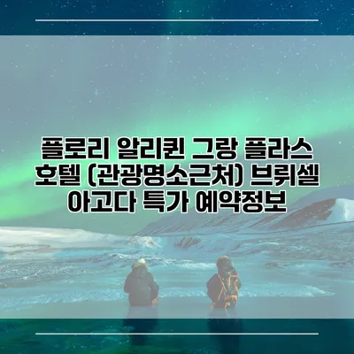 플로리 알리퀸 그랑 플라스 호텔 (관광명소근처) 브뤼셀 아고다 특가 예약정보