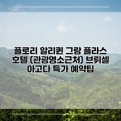 플로리 알리퀸 그랑 플라스 호텔 (관광명소근처) 브뤼셀 아고다 특가 예약팁