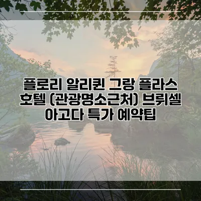 플로리 알리퀸 그랑 플라스 호텔 (관광명소근처) 브뤼셀 아고다 특가 예약팁