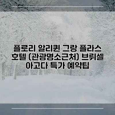 플로리 알리퀸 그랑 플라스 호텔 (관광명소근처) 브뤼셀 아고다 특가 예약팁
