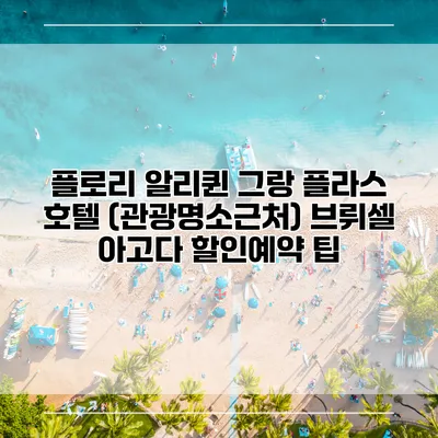 플로리 알리퀸 그랑 플라스 호텔 (관광명소근처) 브뤼셀 아고다 할인예약 팁