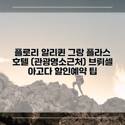 플로리 알리퀸 그랑 플라스 호텔 (관광명소근처) 브뤼셀 아고다 할인예약 팁