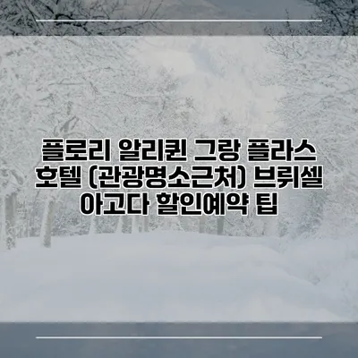 플로리 알리퀸 그랑 플라스 호텔 (관광명소근처) 브뤼셀 아고다 할인예약 팁