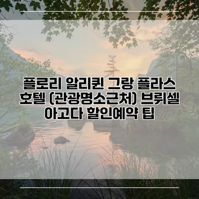 플로리 알리퀸 그랑 플라스 호텔 (관광명소근처) 브뤼셀 아고다 할인예약 팁