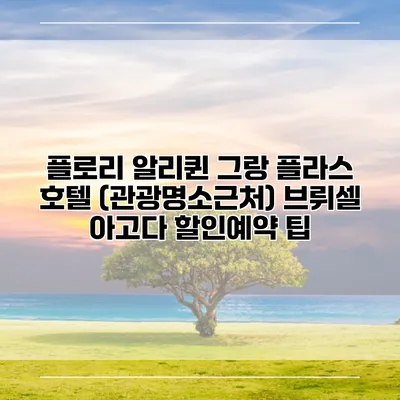 플로리 알리퀸 그랑 플라스 호텔 (관광명소근처) 브뤼셀 아고다 할인예약 팁