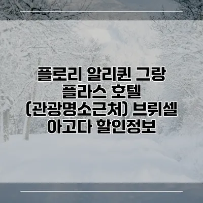 플로리 알리퀸 그랑 플라스 호텔 (관광명소근처) 브뤼셀 아고다 할인정보