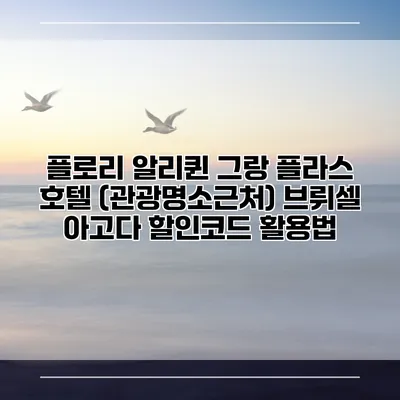 플로리 알리퀸 그랑 플라스 호텔 (관광명소근처) 브뤼셀 아고다 할인코드 활용법