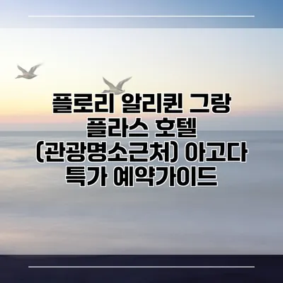 플로리 알리퀸 그랑 플라스 호텔 (관광명소근처) 아고다 특가 예약가이드