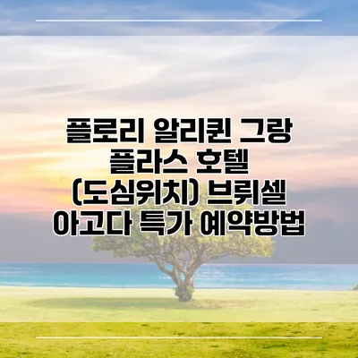 플로리 알리퀸 그랑 플라스 호텔 (도심위치) 브뤼셀 아고다 특가 예약방법
