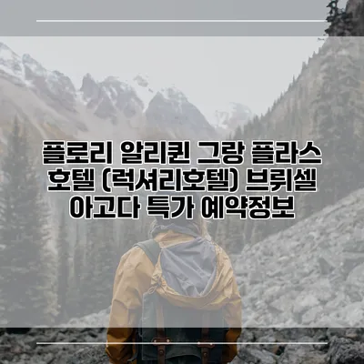 플로리 알리퀸 그랑 플라스 호텔 (럭셔리호텔) 브뤼셀 아고다 특가 예약정보