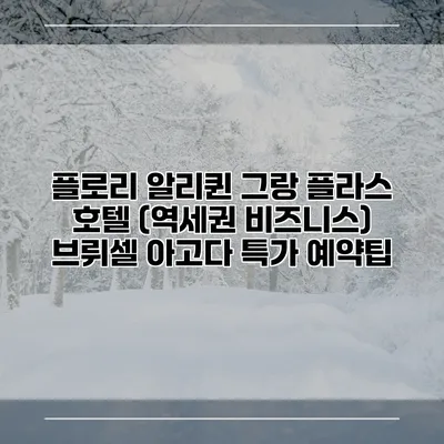 플로리 알리퀸 그랑 플라스 호텔 (역세권 비즈니스) 브뤼셀 아고다 특가 예약팁