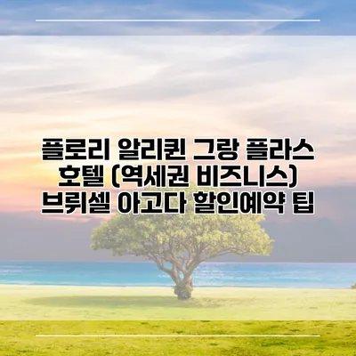 플로리 알리퀸 그랑 플라스 호텔 (역세권 비즈니스) 브뤼셀 아고다 할인예약 팁