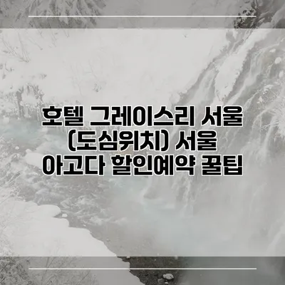 호텔 그레이스리 서울 (도심위치) 서울 아고다 할인예약 꿀팁