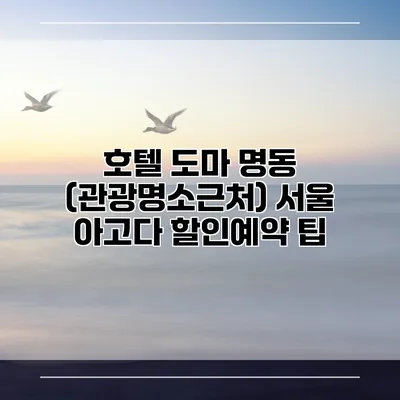 호텔 도마 명동 (관광명소근처) 서울 아고다 할인예약 팁