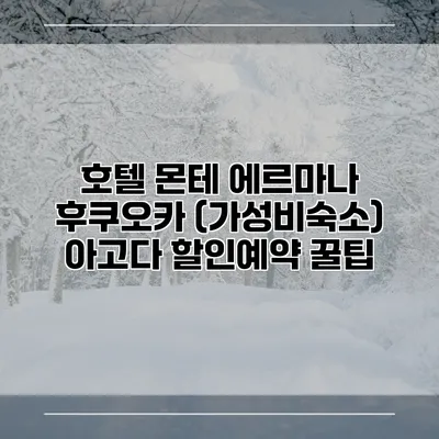 호텔 몬테 에르마나 후쿠오카 (가성비숙소) 아고다 할인예약 꿀팁