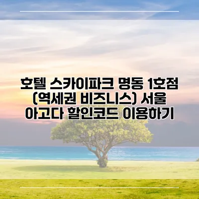 호텔 스카이파크 명동 1호점 (역세권 비즈니스) 서울 아고다 할인코드 이용하기