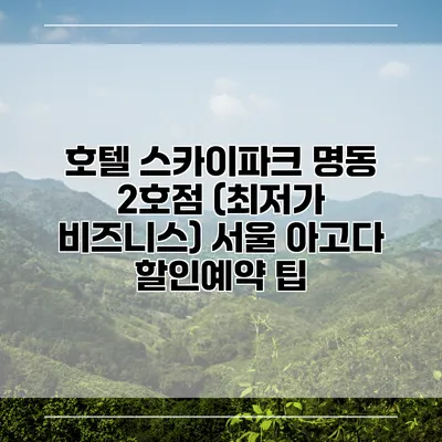 호텔 스카이파크 명동 2호점 (최저가 비즈니스) 서울 아고다 할인예약 팁