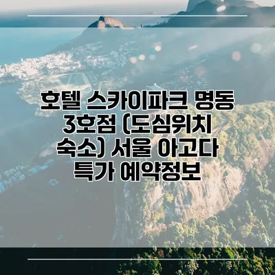 호텔 스카이파크 명동 3호점 (도심위치 숙소) 서울 아고다 특가 예약정보