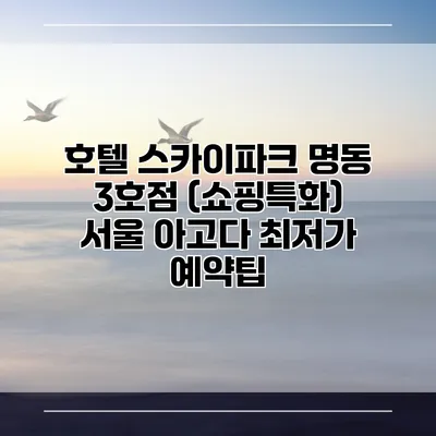 호텔 스카이파크 명동 3호점 (쇼핑특화) 서울 아고다 최저가 예약팁