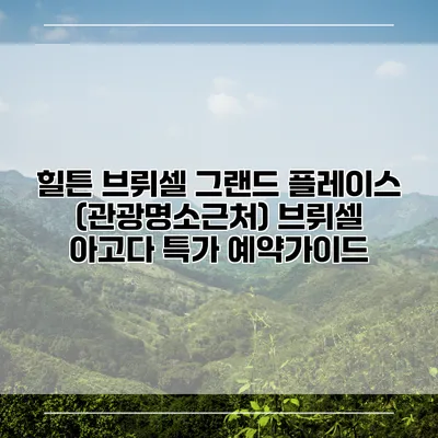 힐튼 브뤼셀 그랜드 플레이스 (관광명소근처) 브뤼셀 아고다 특가 예약가이드