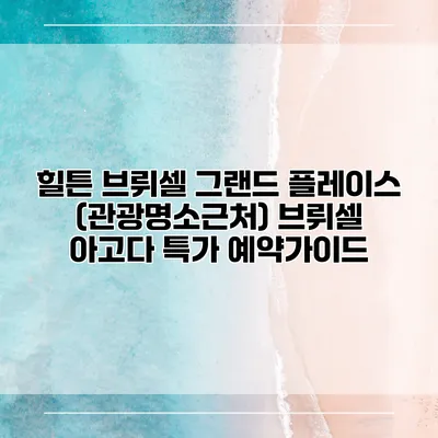 힐튼 브뤼셀 그랜드 플레이스 (관광명소근처) 브뤼셀 아고다 특가 예약가이드