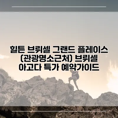 힐튼 브뤼셀 그랜드 플레이스 (관광명소근처) 브뤼셀 아고다 특가 예약가이드