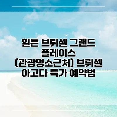 힐튼 브뤼셀 그랜드 플레이스 (관광명소근처) 브뤼셀 아고다 특가 예약법