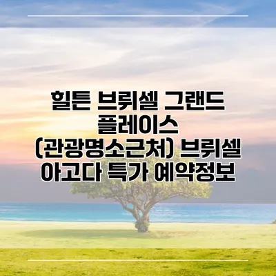 힐튼 브뤼셀 그랜드 플레이스 (관광명소근처) 브뤼셀 아고다 특가 예약정보
