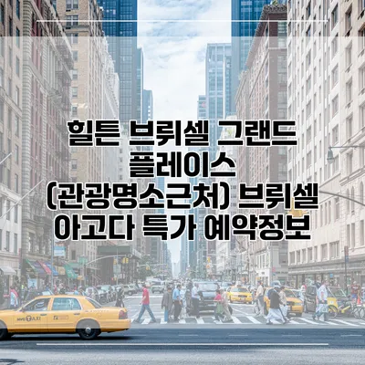 힐튼 브뤼셀 그랜드 플레이스 (관광명소근처) 브뤼셀 아고다 특가 예약정보