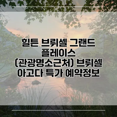힐튼 브뤼셀 그랜드 플레이스 (관광명소근처) 브뤼셀 아고다 특가 예약정보