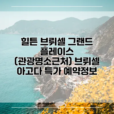 힐튼 브뤼셀 그랜드 플레이스 (관광명소근처) 브뤼셀 아고다 특가 예약정보
