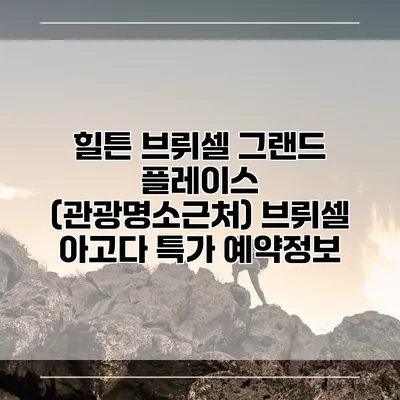 힐튼 브뤼셀 그랜드 플레이스 (관광명소근처) 브뤼셀 아고다 특가 예약정보