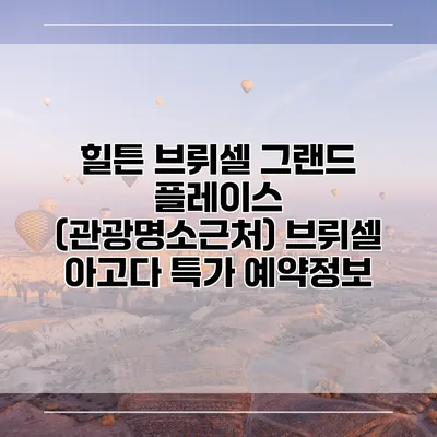 힐튼 브뤼셀 그랜드 플레이스 (관광명소근처) 브뤼셀 아고다 특가 예약정보