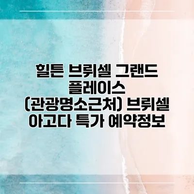 힐튼 브뤼셀 그랜드 플레이스 (관광명소근처) 브뤼셀 아고다 특가 예약정보