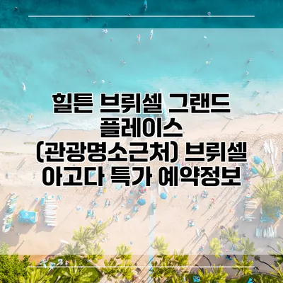 힐튼 브뤼셀 그랜드 플레이스 (관광명소근처) 브뤼셀 아고다 특가 예약정보