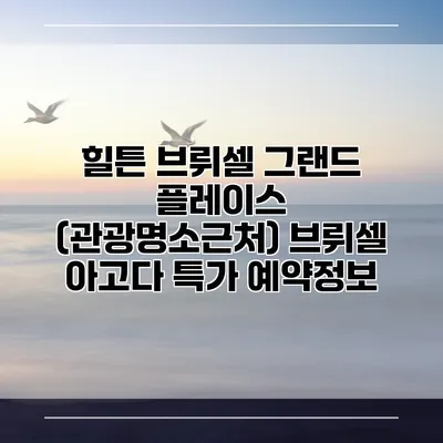 힐튼 브뤼셀 그랜드 플레이스 (관광명소근처) 브뤼셀 아고다 특가 예약정보