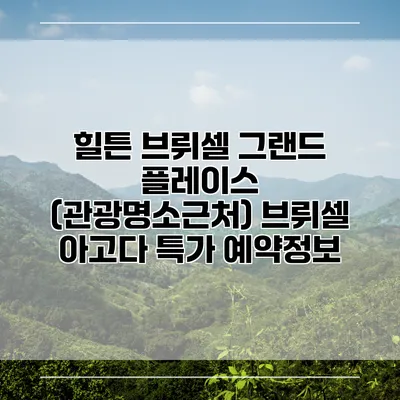 힐튼 브뤼셀 그랜드 플레이스 (관광명소근처) 브뤼셀 아고다 특가 예약정보