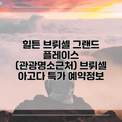 힐튼 브뤼셀 그랜드 플레이스 (관광명소근처) 브뤼셀 아고다 특가 예약정보