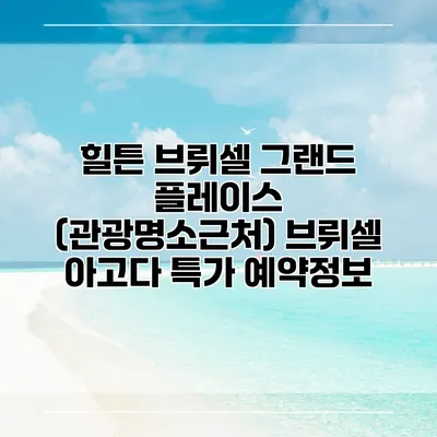 힐튼 브뤼셀 그랜드 플레이스 (관광명소근처) 브뤼셀 아고다 특가 예약정보