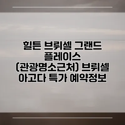 힐튼 브뤼셀 그랜드 플레이스 (관광명소근처) 브뤼셀 아고다 특가 예약정보