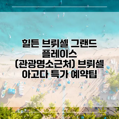힐튼 브뤼셀 그랜드 플레이스 (관광명소근처) 브뤼셀 아고다 특가 예약팁