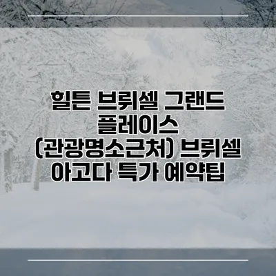 힐튼 브뤼셀 그랜드 플레이스 (관광명소근처) 브뤼셀 아고다 특가 예약팁