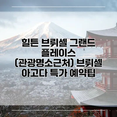 힐튼 브뤼셀 그랜드 플레이스 (관광명소근처) 브뤼셀 아고다 특가 예약팁