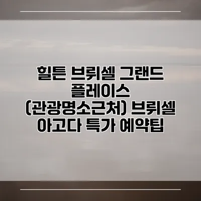 힐튼 브뤼셀 그랜드 플레이스 (관광명소근처) 브뤼셀 아고다 특가 예약팁