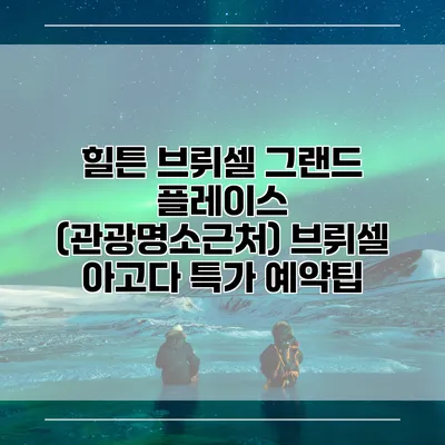 힐튼 브뤼셀 그랜드 플레이스 (관광명소근처) 브뤼셀 아고다 특가 예약팁