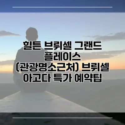 힐튼 브뤼셀 그랜드 플레이스 (관광명소근처) 브뤼셀 아고다 특가 예약팁