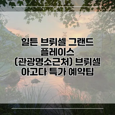 힐튼 브뤼셀 그랜드 플레이스 (관광명소근처) 브뤼셀 아고다 특가 예약팁