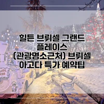 힐튼 브뤼셀 그랜드 플레이스 (관광명소근처) 브뤼셀 아고다 특가 예약팁